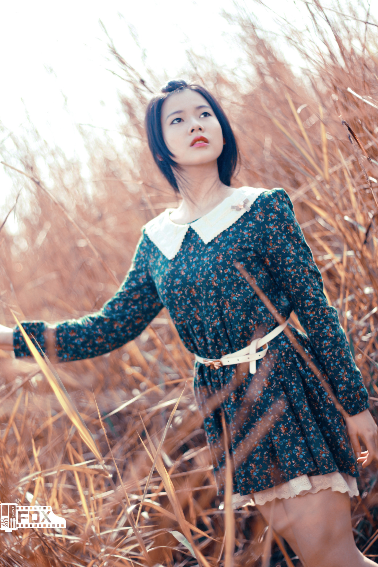 《青瓷》
